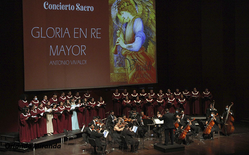 CAMERATA